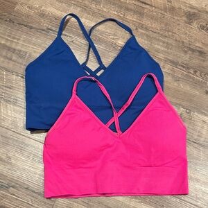 DSG Vibrant Blue and Pink Sports Bras